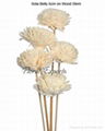 Sola Wood Flowers 3