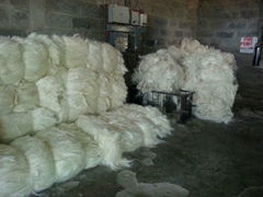 100% Natural Sisal fiber with free samples