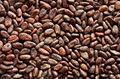Sundried Organic Cocoa beans, powder