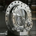 titanium flange 1