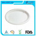 Biodegradable Tableware