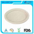 wheat straw fiber tableware 1