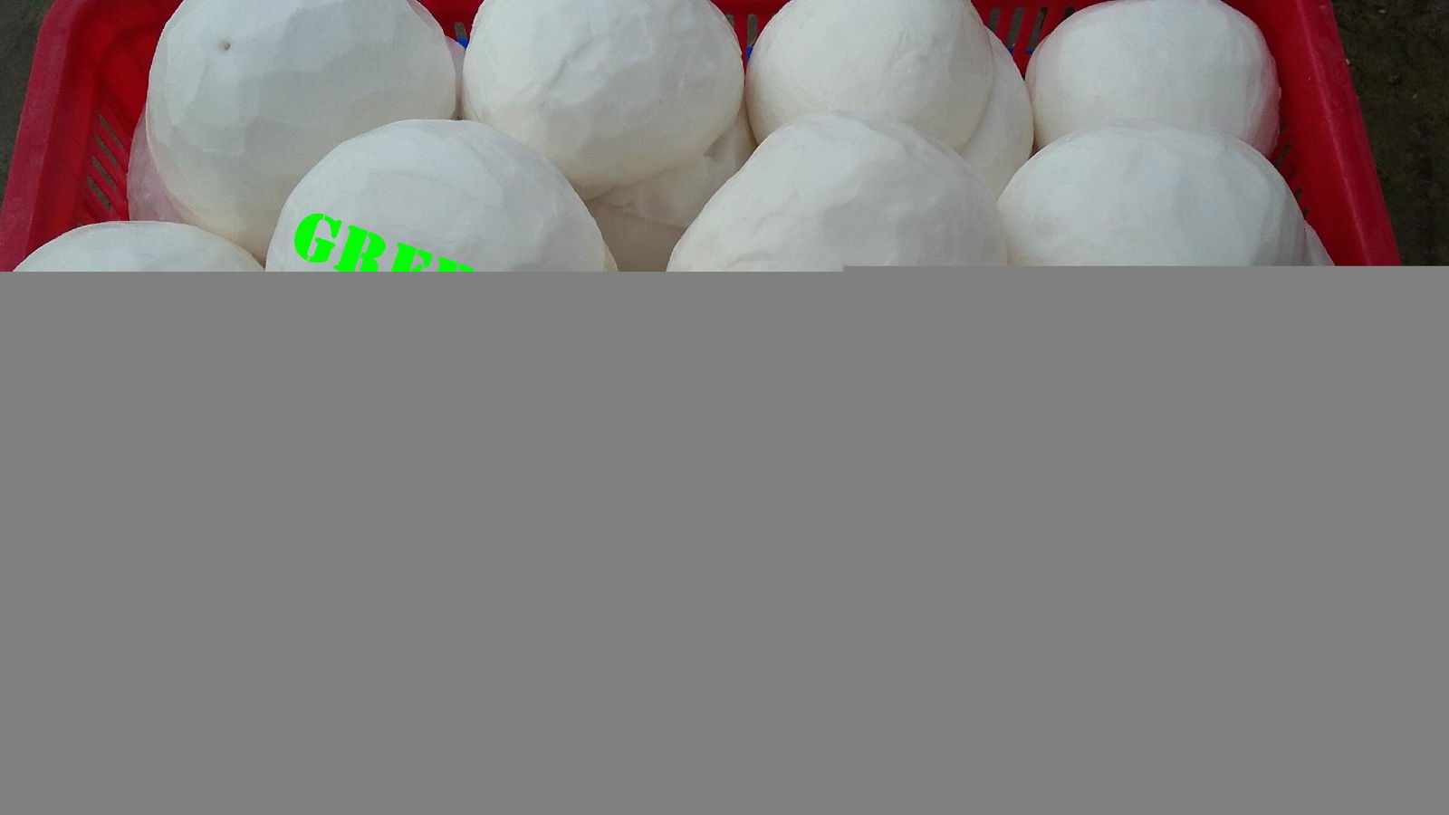 FROZEN COCONUT MEAT with high quality for sale 4