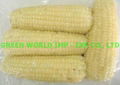 Frozen CORN with premium quality and cheap price 2