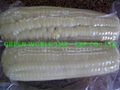 Frozen CORN with premium quality and cheap price 3