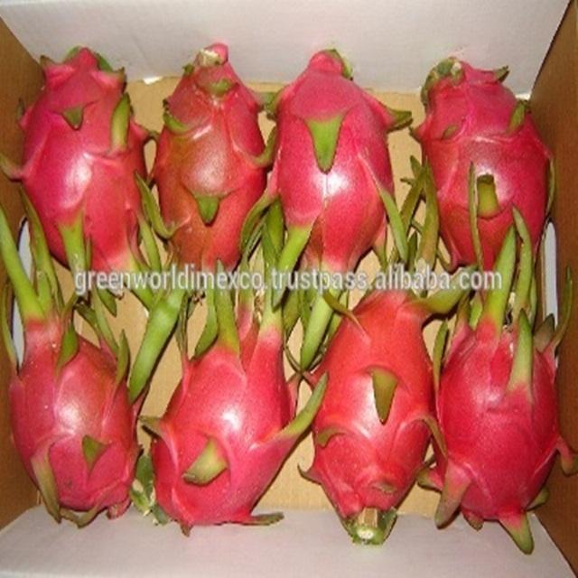 FRESH FROZEN DRAGON FRUIT GOOD FOR HEALTHY GW01 greenworld (Vietnam