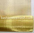 China steel mesh manufacturers Brass Wire Mesh
