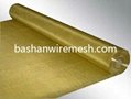 China steel mesh manufacturers Brass Wire Mesh 2