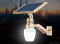 Integrated Solar LED Garden Lights