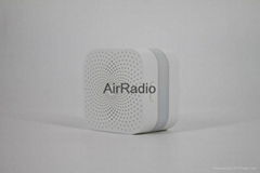 AirRadio combustible gas alarm natural