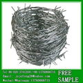 Hot galvanized twisted babred wire