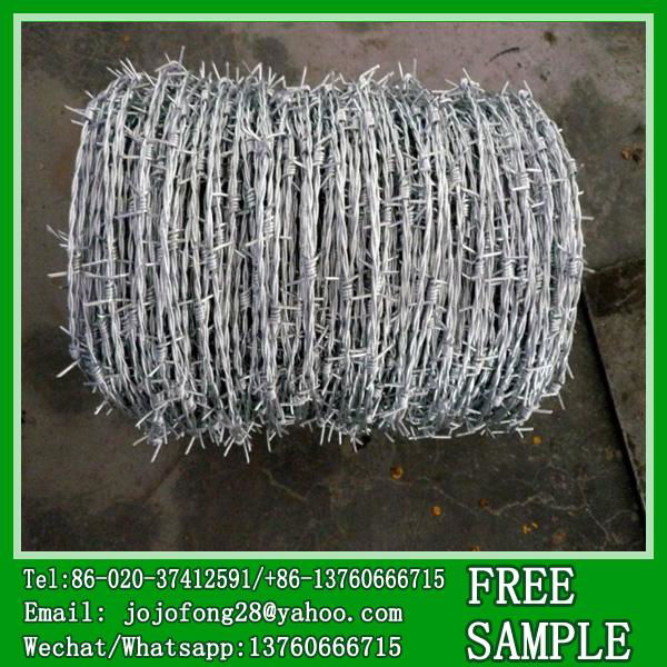 Hot galvanized twisted babred wire fencing cost 2