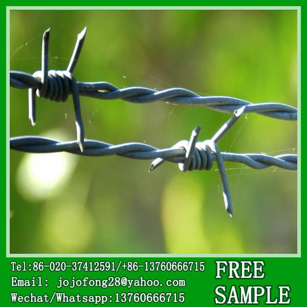 Factory selling barbed wire in roll how much 2