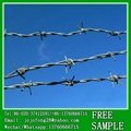 Factory selling barbed wire in roll how much 3