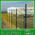 Galvanized Green color house used 6ft steel wire mesh fence designs 3