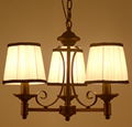 chandeliers ,ceiling lamps, interior