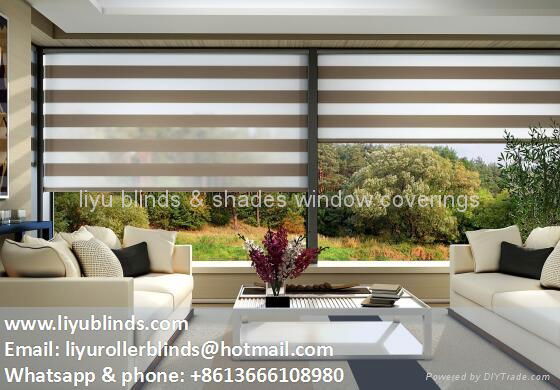 Liyu zebra sheer roller blinds shades 3