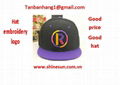 hat embroidry logo 1