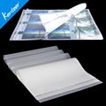 Glossy PET film for screen printing hot