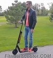 Two Wheels  8inch 350W Fitrider Electric Scooter 1