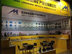 Hebei Longsheng Metals & Minerals Co., Ltd