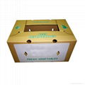 TZ Papers Fruits and Vegetable waterproof wax dipped carton box