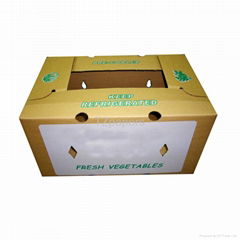 TZ Papers Fruits and Vegetable waterproof wax dipped carton box