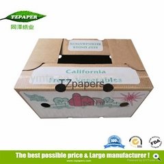 TZ Papers strong wax waterproof carton for vegetable