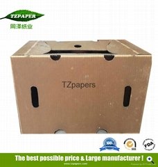 TZ Papers Customized special waterproof frozen meat wax carton box