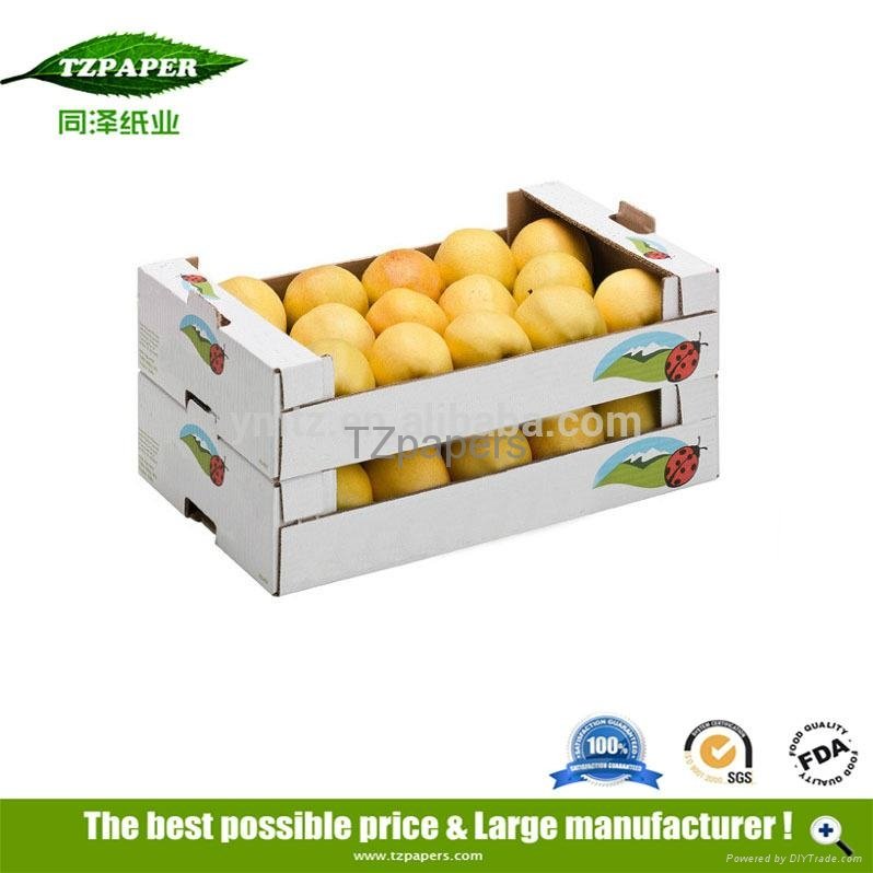 TZ Papers factory customozed fruit carton box 5