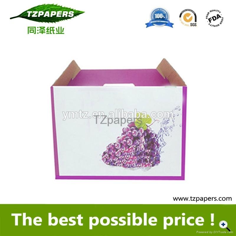 TZ Papers factory customozed fruit carton box