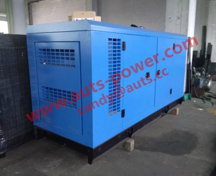 Cummins Silent Diesel Generator Set with Soundproof Canopy 3
