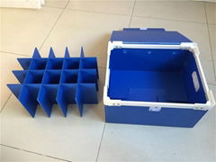 Plastic PP Sheet for Dividers and separators of Beverage packaging