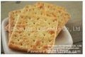 Modified Starch for Cracker 1