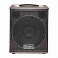 AV-310 10" MINI PA SPEAKER PORTABLE AMP