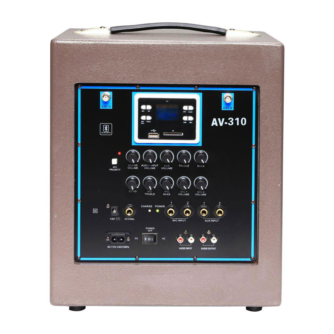 AV-310 10" MINI PA SPEAKER PORTABLE AMP BULIT-IN BLUE TOOTH WITH 2 WIRELESS MIC  2