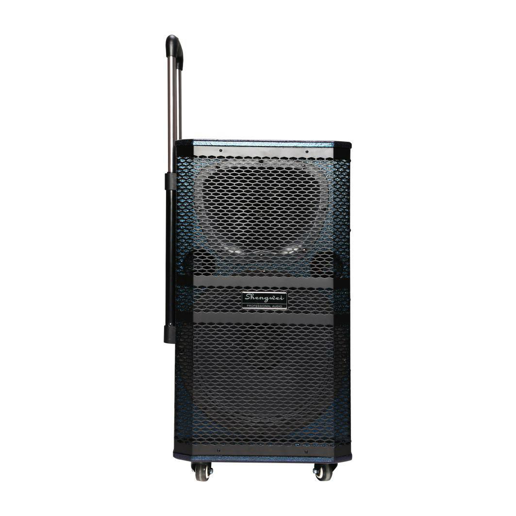 12"/15" 2 WAYS PA SPEAKER BULIT-IN BLUE TOOTH WITH 2 WIRELESS MIC 2