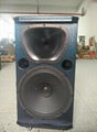 12"/15" 2 WAYS PA SPEAKER BULIT-IN BLUE TOOTH WITH 2 WIRELESS MIC 5