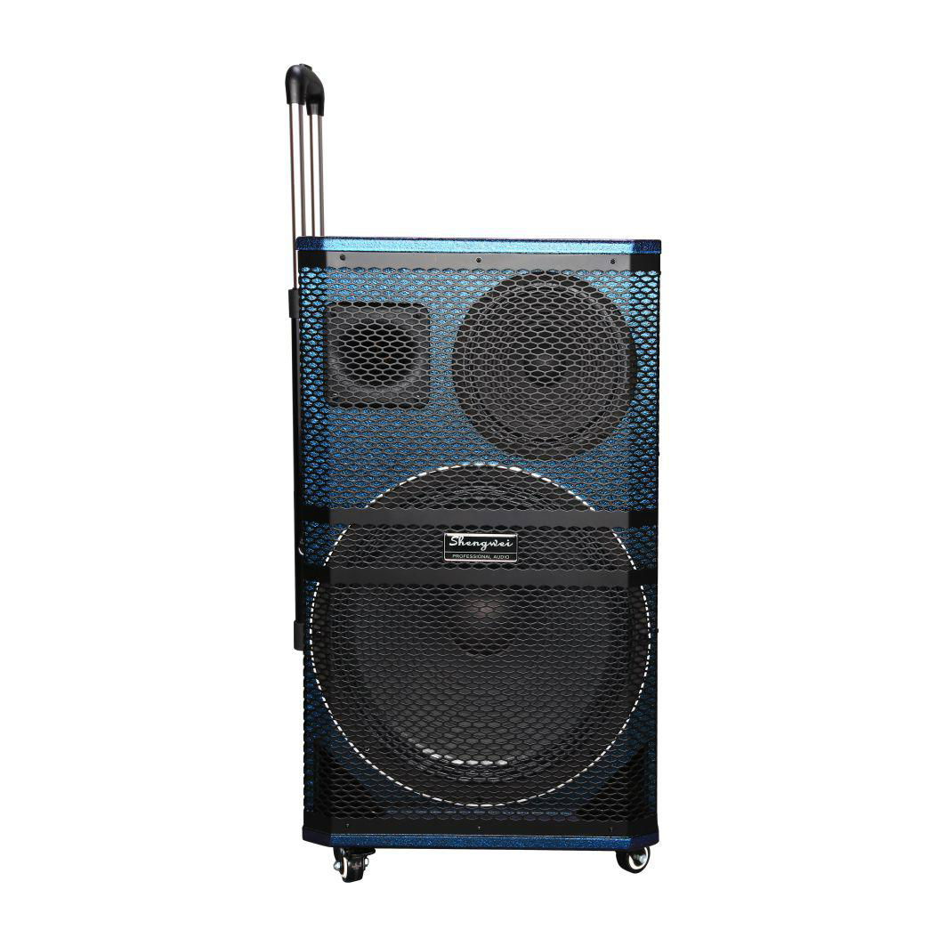 12"/15" 3 WAYS PA SPEAKER BULIT-IN BLUE TOOTH WITH 2 WIRELESS MIC 5