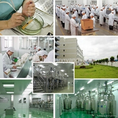 Guangzhou Qiaoyangyang Cosmetics Co.,Ltd Guangzhou Qiaoyangyang Cosmetics Co.,Ltd