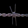 Barbed wire 1