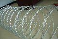 razor wire 3