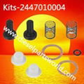 Repair Kits 2 443 461 020 1