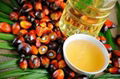 REFINED PALM OIL