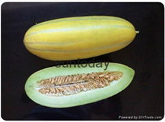 Sutnoday long oblong fruit with golden-yellow rind melon seeds