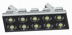 LED Flood Light