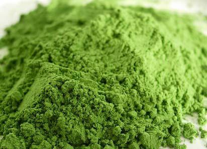 Wheat grass powder