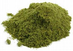 Alfalfa Powder   