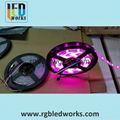 Flixible DMX LED Strip magic led strip digital strip 4