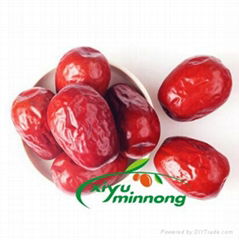 Chinese red dates